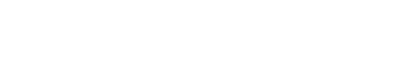 OmniMax Labs